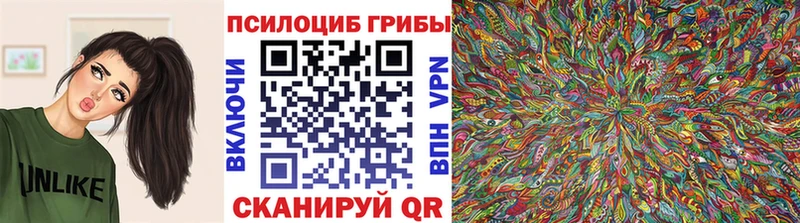 Галлюциногенные грибы мухоморы  наркота  Кяхта 